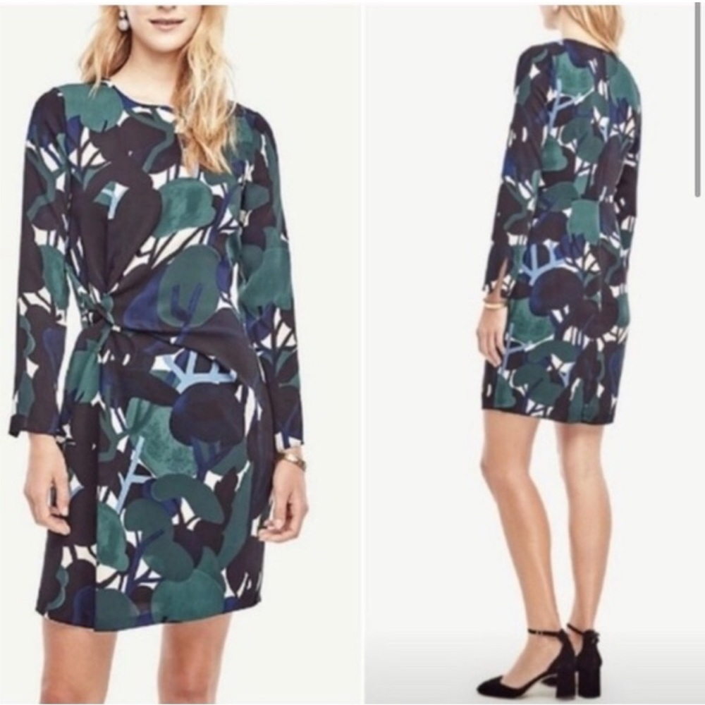 Ann Taylor Cypress Botanical Long Sleeve Green and Blue Shift Dress‎